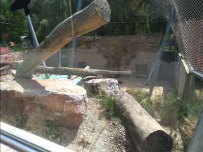 Zoo Košice - Chovné zariadenie margay